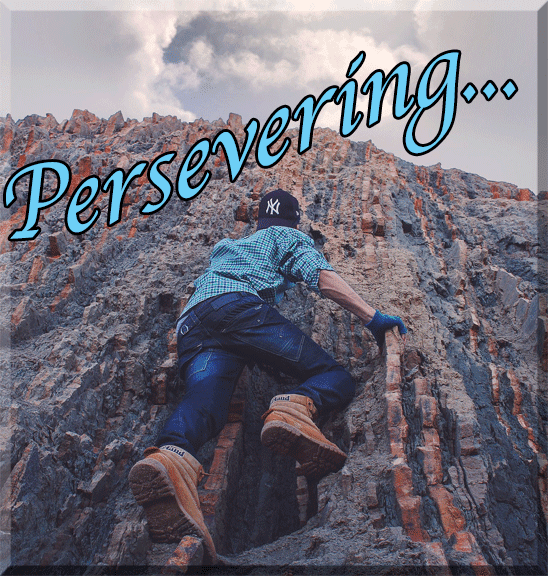 Persevering Day by Day! – Emily's Snippets